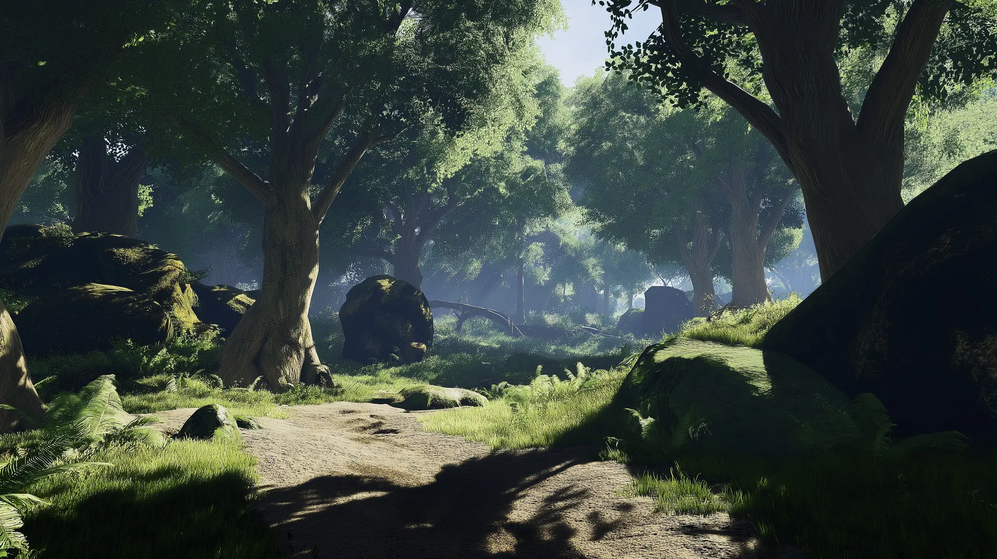 Serene Forest